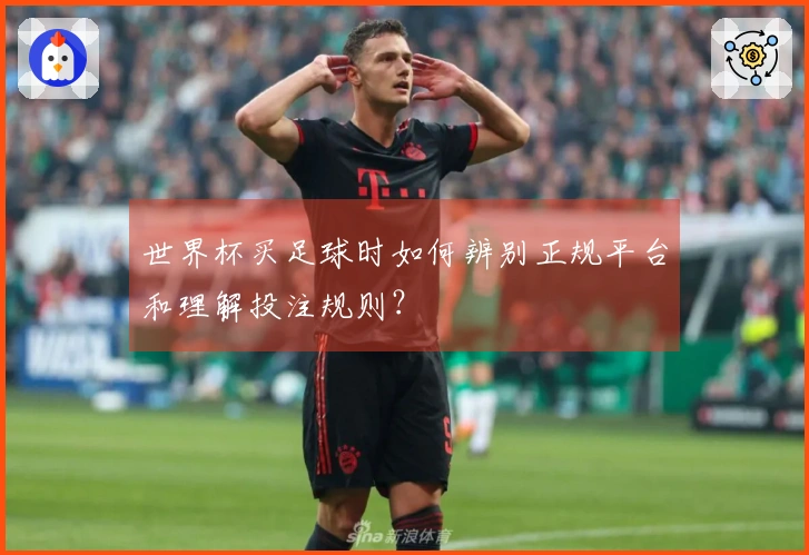 世界杯买足球时如何辨别正规平台和理解投注规则?