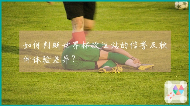 如何判断世界杯投注站的信誉及软件体验差异?