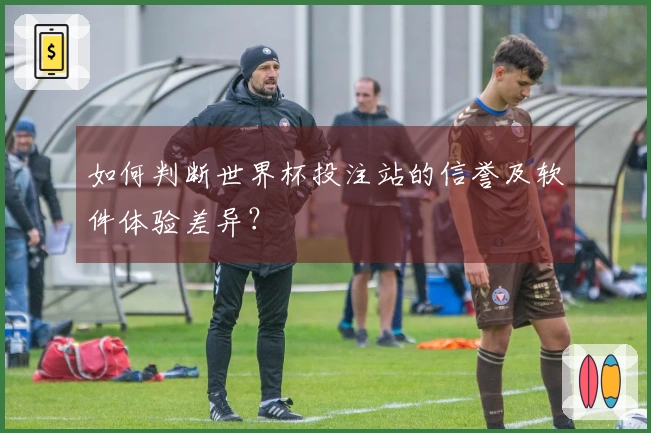 如何判断世界杯投注站的信誉及软件体验差异？