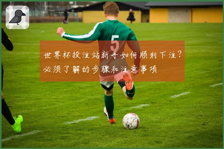 世界杯投注站新手如何顺利下注？必须了解的步骤和注意事项