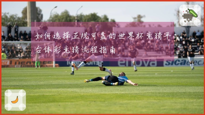 如何选择正规可靠的世界杯竞猜平台体彩竞猜流程指南